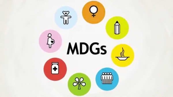 Institutional framework DOHS and millennium development goals (MDGs)