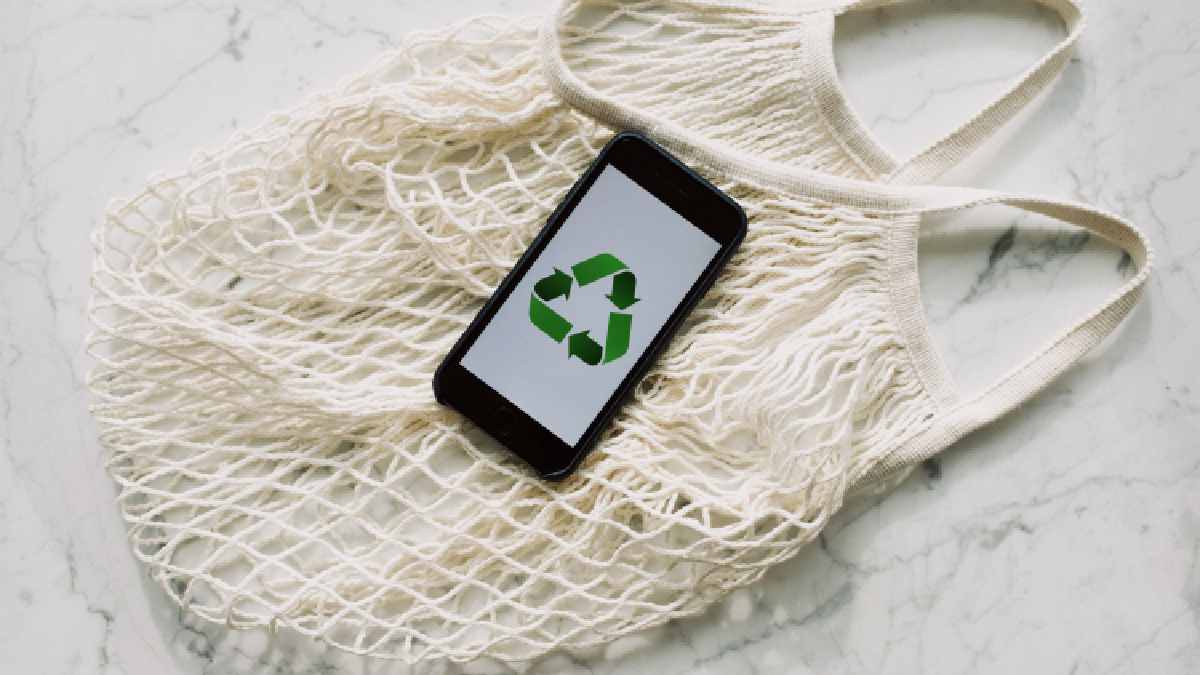 Going Green: Why It&#8217;s Important For Your eCommerce Business
