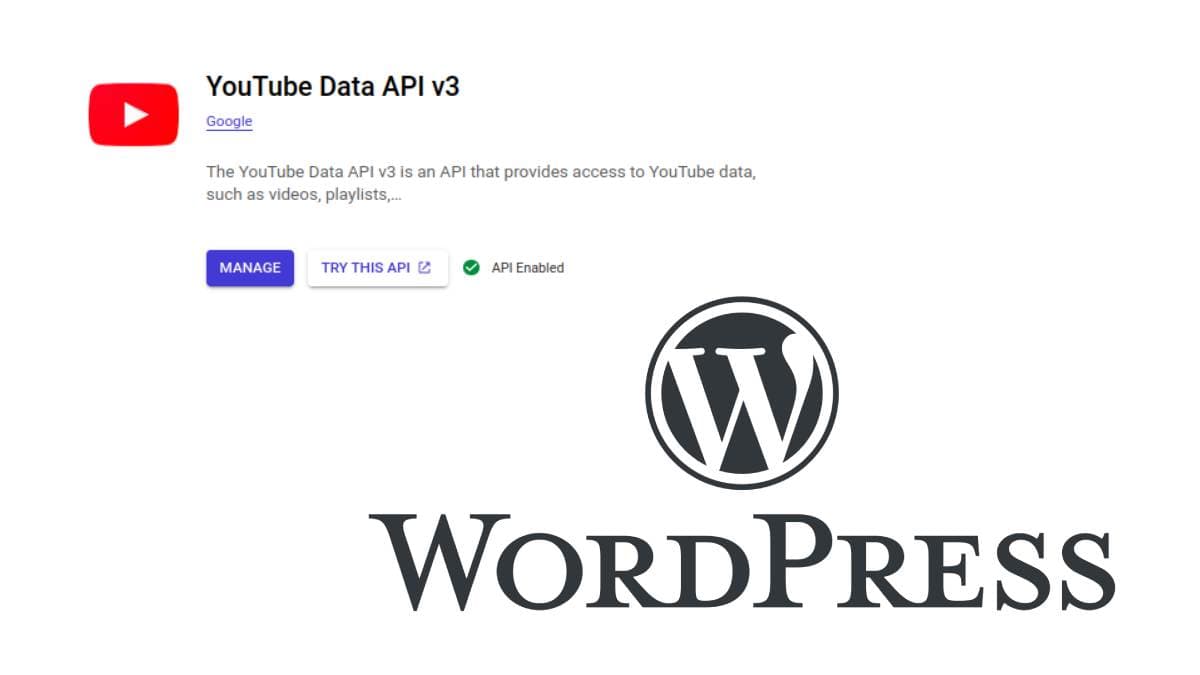 Import youtube videos as WordPress posts &#8211; free WordPress plugin