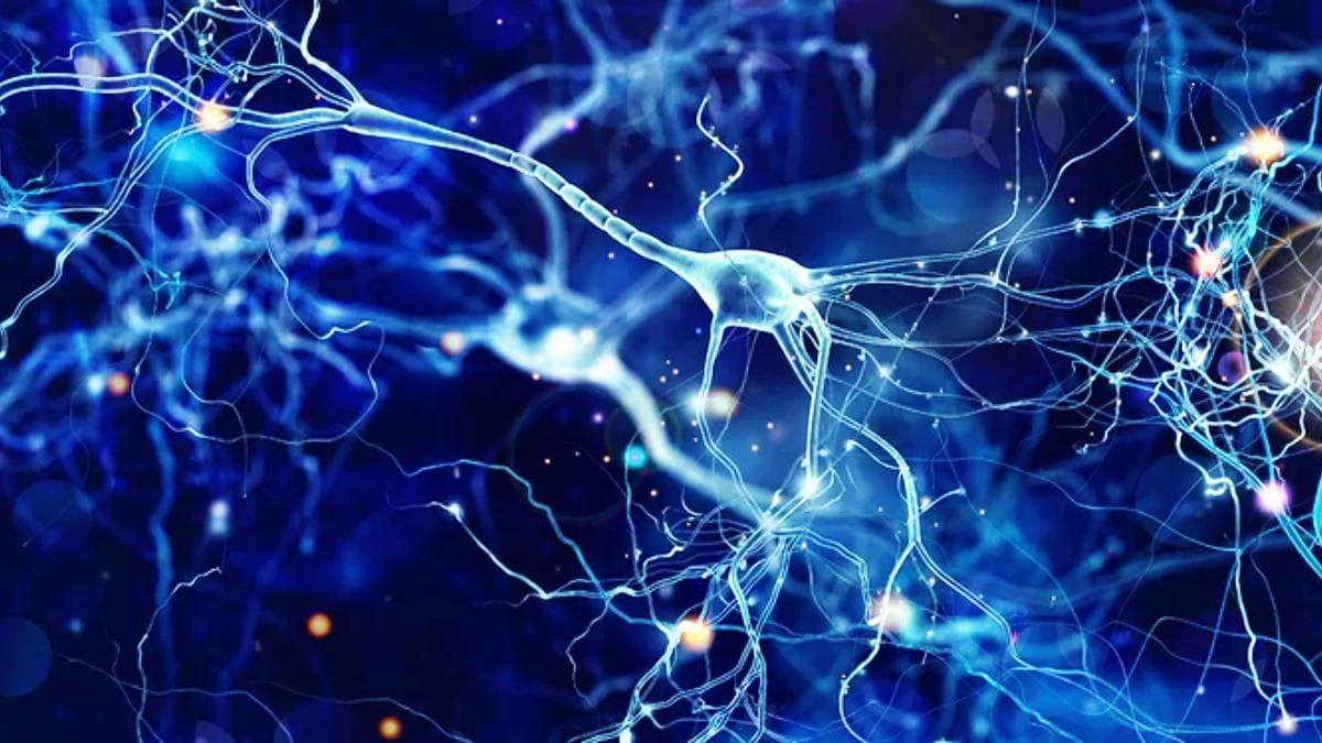 Technology that astonishes: what is artificial intelligence?